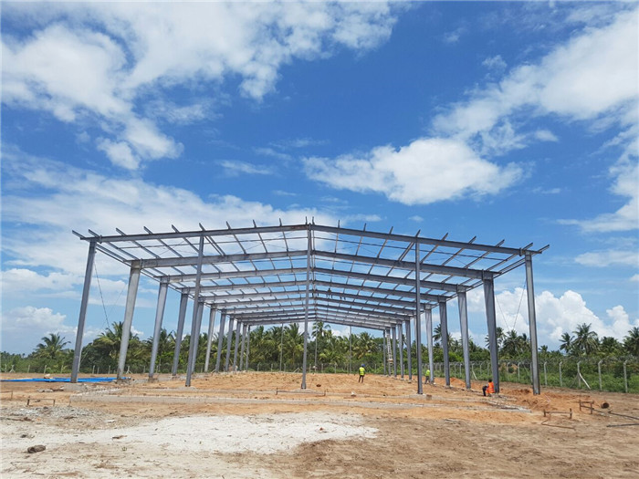 Tanzania Steel Structure