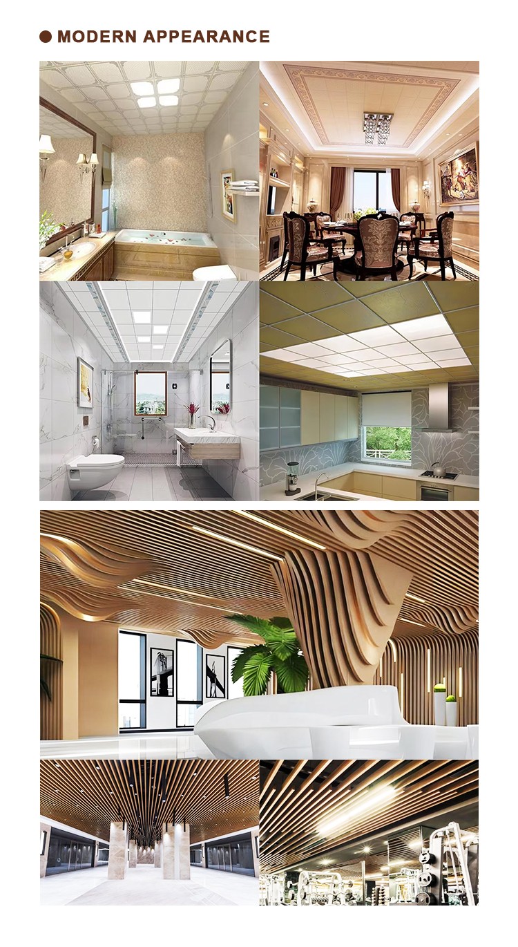 Custom Ceilings for Home, Office, and Commercial Interiors Custom Ceilings for Home, Office, and Commercial Interiors